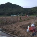 양남농장 이미지