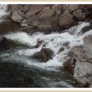 설천시장 이미지