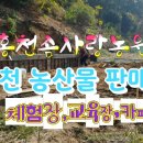 신무농원 네이버블로그