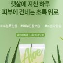 블루베라