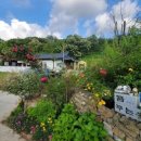 꿈꾸는 가 이미지