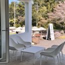 이쁜냥이 | 제주 야외 포토존이 이쁜 카페 비케이브 내돈내산 후기