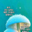 장*석 - 안양시 만안구 양화로147번길 | 장*석