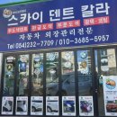 스카이덴트칼라
