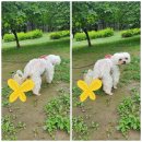 신일산동물병원 이미지