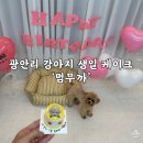 멈무까 | 광안리 강아지 케이크 ‘멈무까’