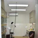 잘하는 동물메디컬센터 이미지