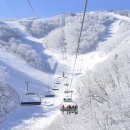 무주 덕유산 리조트 이미지