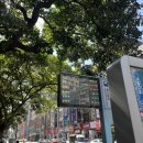 소션 | 3박5일 대만 자유여행 #4 대만 딘타이펑 누가크레커 중정기념당 까르푸 다녀온날!