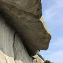 남경호 Daum카페