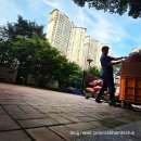 Compositio | 요하네스 둔스 스코투스(Johannes Duns Scotus) 논리