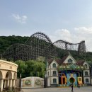 장미축제 | 용인 | 에버랜드 5월 장미축제 봄꽃나들이 다녀온 후기