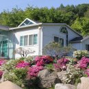 산장 이미지