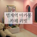[범계역 마카롱] 예쁜 사진 찍기 좋은 카페, 러빗(LOVEAT)