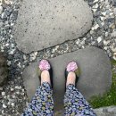 스테이1531 이미지