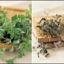 솔잎좌훈한의원 이미지