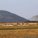 만화목장 이미지