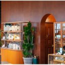 나무와사람들 이미지