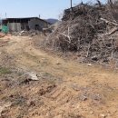 주덕읍사무소 이미지