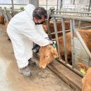 제천농장 이미지