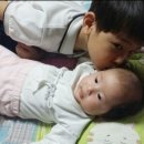 남보은농업협동조합수한지점