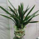 테크노 꽃나라 이미지