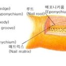 612네일 이미지