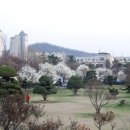 인하대학교 이미지