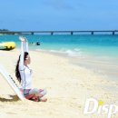 비치 이미지