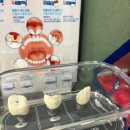 SM치과의원 네이버블로그