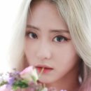 리안헤어가정