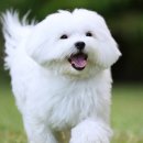 대현약국 이미지