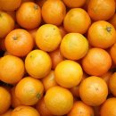 오렌지 이미지