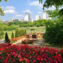 탄천좌로 이미지