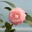 천중농장 이미지