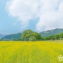 여주 가볼 만한 곳, 남한강 따라 흐르는 문화와 자연의 조화 이미지