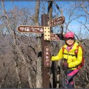 알프스가든 이미지