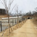 카페슈 | 파주 대형 애견카페 슈베르몽 가오픈 방문 솔직후기