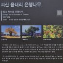 추정1리 | 26.2.10 증평 메리놀병원시약소-괴산 보안사-함이재-청안향교.사마소-장담충신각-청안동헌.읍내리...