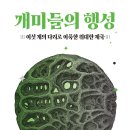개미 - 33287 | 개미