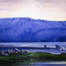 꿈꾸는 바다 이미지