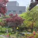 세 | 온고재 세번째 방문후기, 주말 저녁 웨이팅 후기