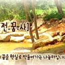 건축이해하기 - ﻿﻿평당 건축비의 정확한 개념 이미지