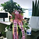 오르리공인중개사사무소 이미지