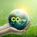 우리축산물유통 이미지