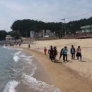 야호캠프 이미지