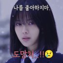 풍년농약사 | 마녀 정보 출연진 등장인물 몇부작 인물관계도 그녀가 마녀라 불리는 이유 강풀 월드 컴백
