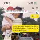 올더디저트 이미지