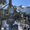 다로산 스파펜션 | 강원도 양양 펜션 : 노천 스파가 있는 다로산펜션 모네 객실 후기