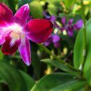 안덕 청소년문화의집 이미지